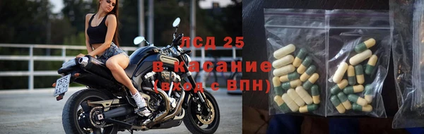 эйфоретик Баксан