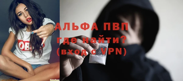 эйфоретик Баксан
