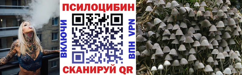 Галлюциногенные грибы GOLDEN TEACHER  Белогорск 